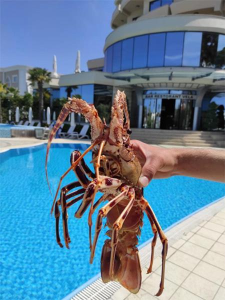 Vela Hotel Restaurant Голем Екстер'єр фото